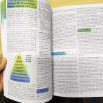 The Holistic Guide To Wellness : Herbal Protocols for Common Ailments - Image 2