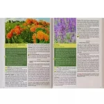The Lost Book of Herbs and Natural Remedies II - A5 Size - Image 4