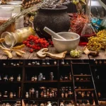 The Holistic Home Apothecary; 1000+ Forgotten Remedies: Natural and Herbal Solutions for Lasting Daily Wellness - Image 4