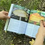 The Forager’s Guide to Wild Foods by Nicole Apelian - A5 - Image 4