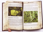The Lost Ways Hardcover - Special Edition by Claude Davis - Image 4