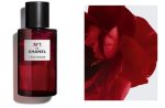 Chanel N°1 De L’Eau Rouge Fragrance Mist – For Women (100ml / 3.4 fl oz) | Refreshing Floral Scent with Red Camellia Extract - Image 3