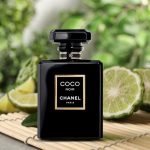 Chanel COCO NOIR Eau de Parfum – For Women (100ml / 3.4 fl oz) | Bold, Elegant & Mysteriously Feminine