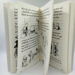 Diary of a Wimpy Kid Book Set (Books 1–10 / 11–20) - Image 5