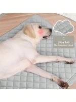 Orthopedic Dog Bed Large Breed Memory Foam Washable Cover Non-Slip Bottom for Big Dogs - Image 4
